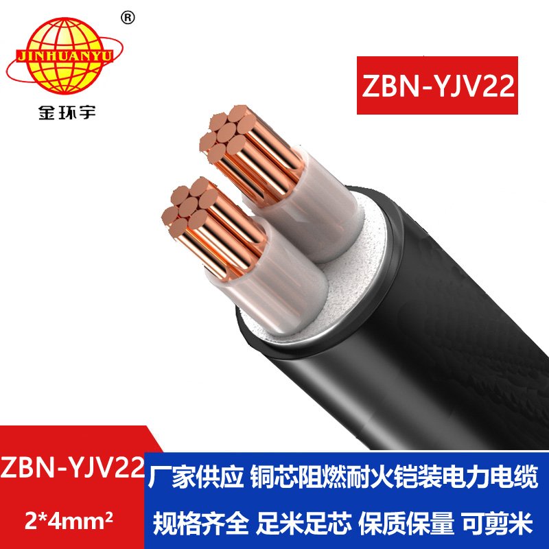 金环宇电线电缆 ZBN-YJV22-2X4阻燃b类耐火电力电缆yjv22电缆