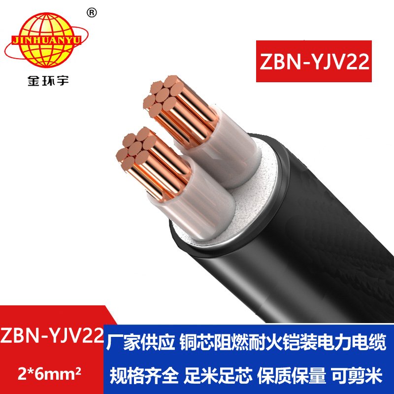 金环宇电线电缆 yjv22铠装电缆ZBN-YJV22-2X6平方 阻燃耐火电缆