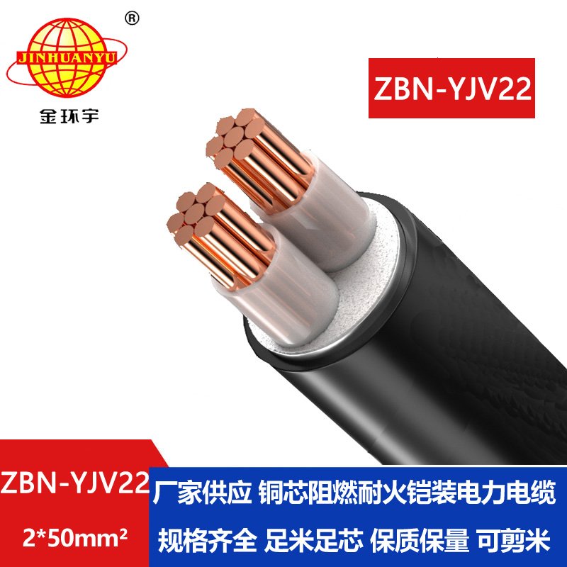金环宇电线电缆 阻燃耐火电缆ZBN-YJV22-2X50平方yjv22铠装电缆 